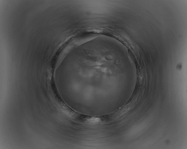 X0000094900374200711291238
