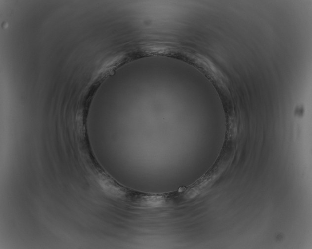 X0000094900377200711291238