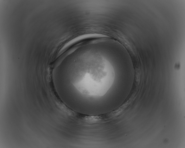 X0000094900378200711291238