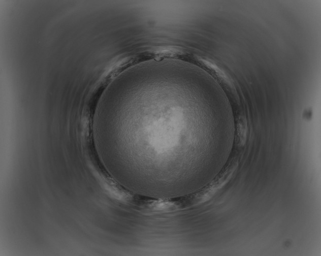 X0000094900379200711291238