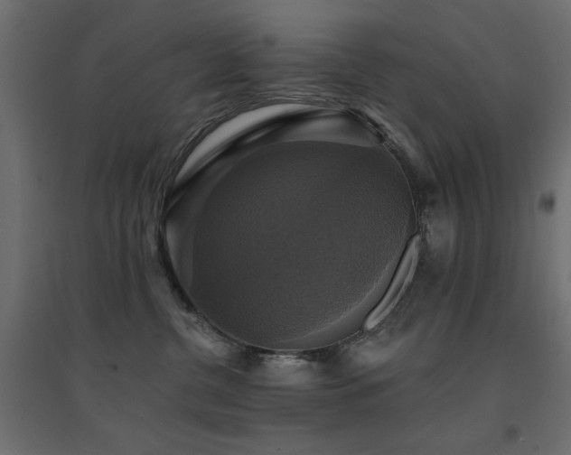X0000094900380200711291238