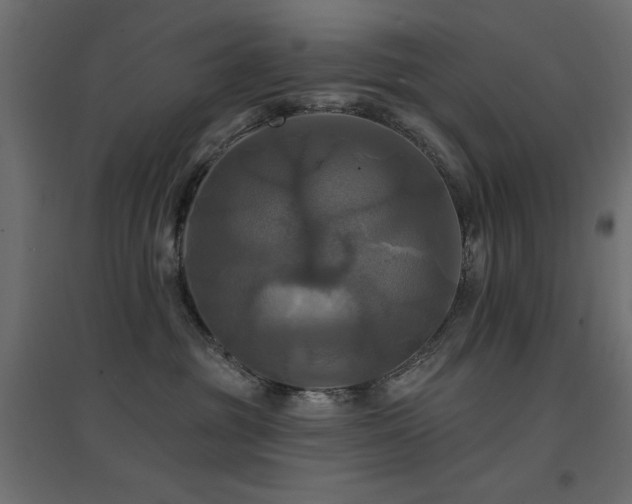 X0000094900381200711291238
