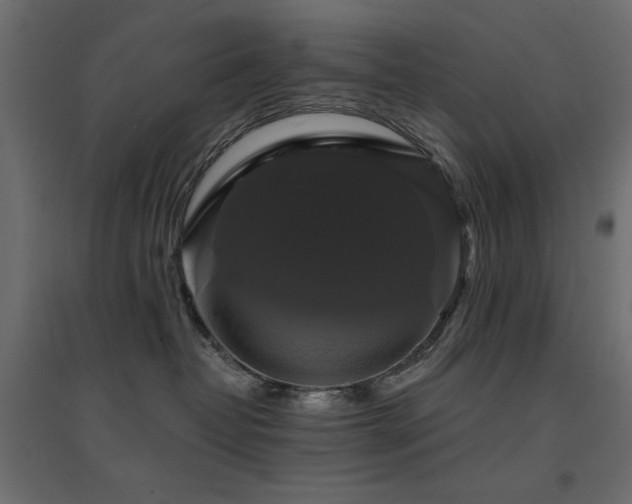 X0000094900382200711291238