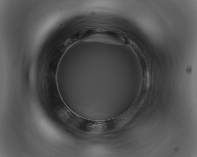 X0000094900383200711291238