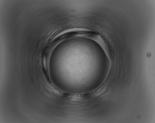 X0000094900384200711291238