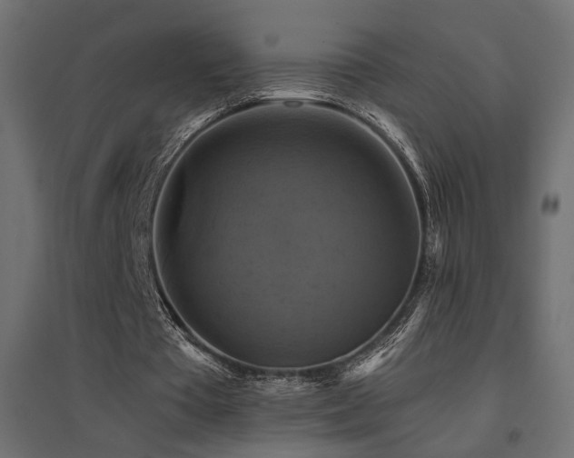 X0000094900385200711291237