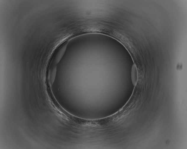 X0000094900386200711291237