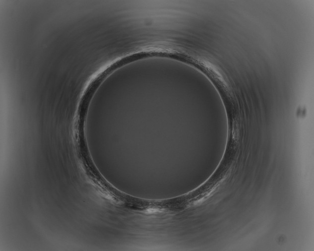 X0000094900388200711291237