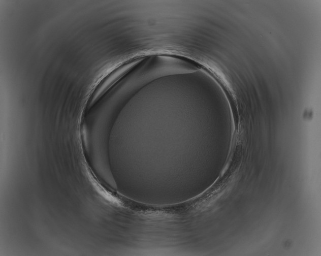 X0000094900389200711291237