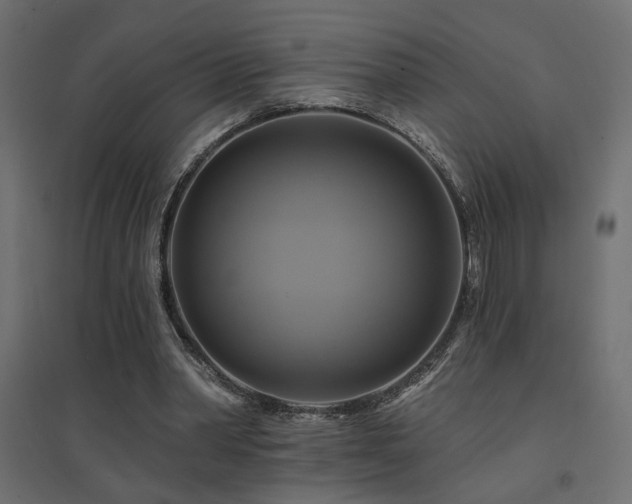 X0000094900390200711291237