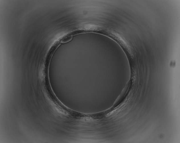 X0000094900392200711291237