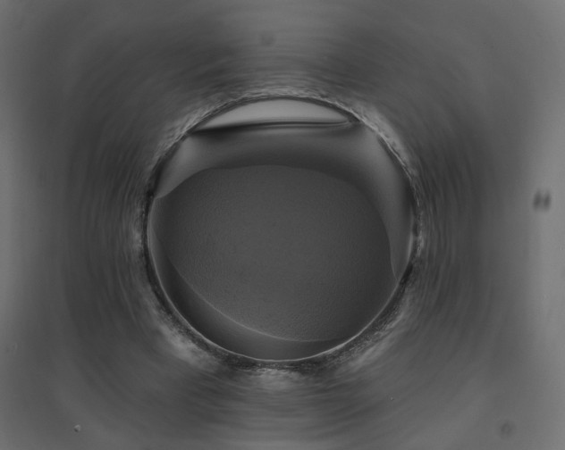 X0000094900393200711291237