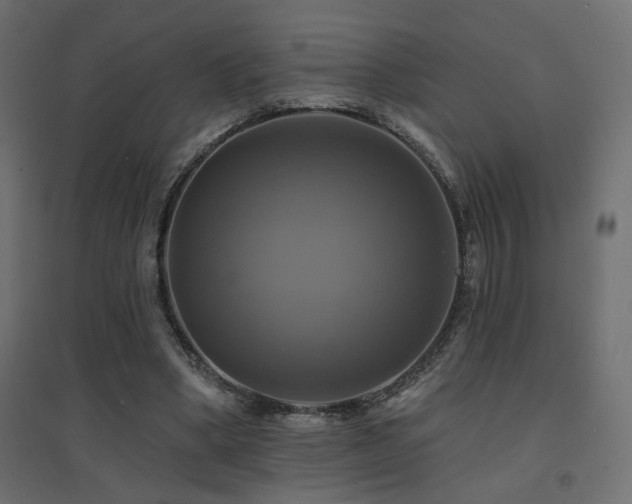 X0000094900394200711291237