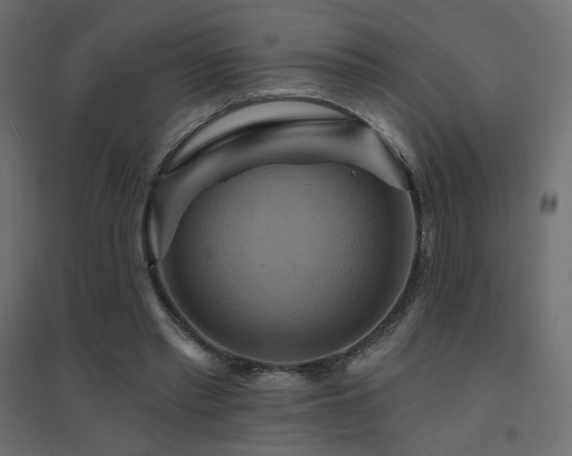 X0000094900397200711291237
