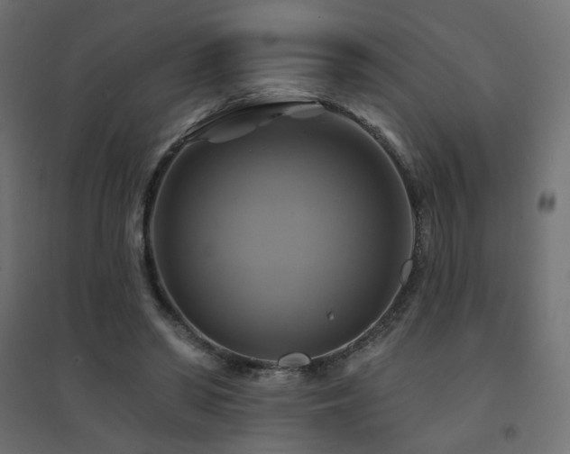 X0000094900398200711291237