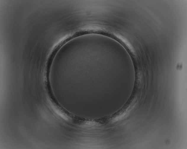 X0000094900399200711291237
