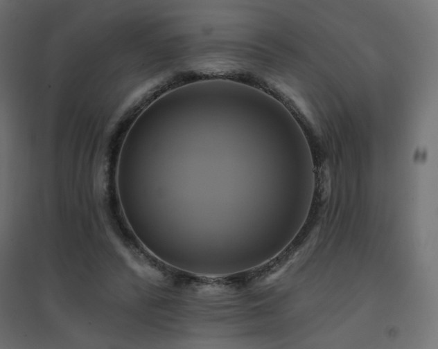 X0000094900400200711291237