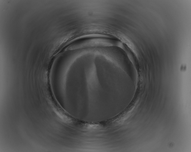 X0000094900401200711291237
