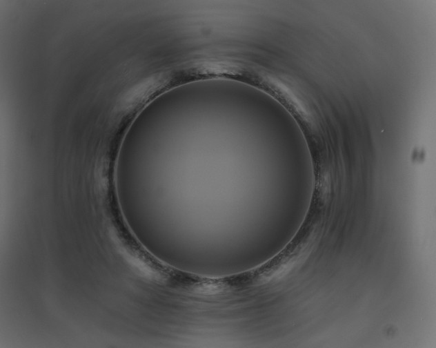 X0000094900402200711291237