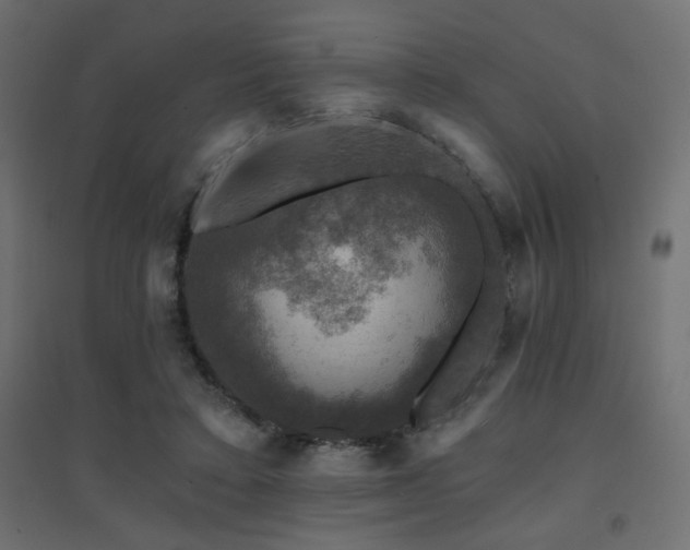 X0000094900403200711291237