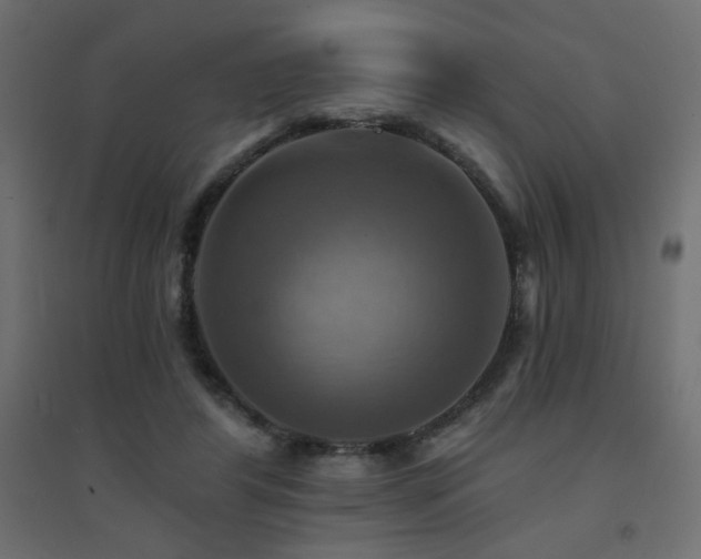 X0000094900404200711291237