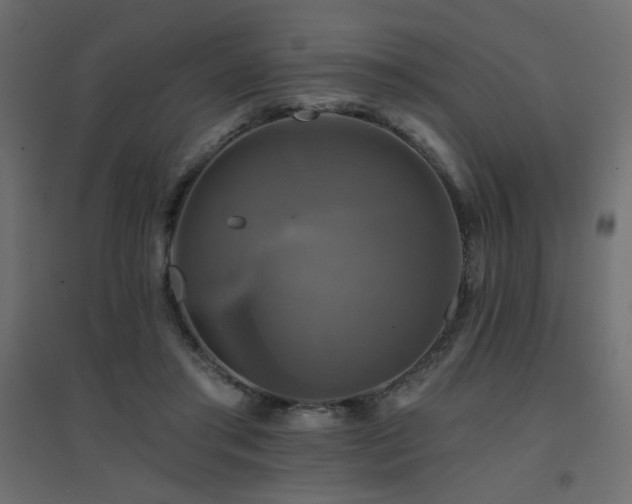 X0000094900405200711291237
