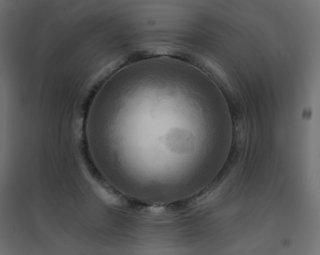 X0000094900406200711291237