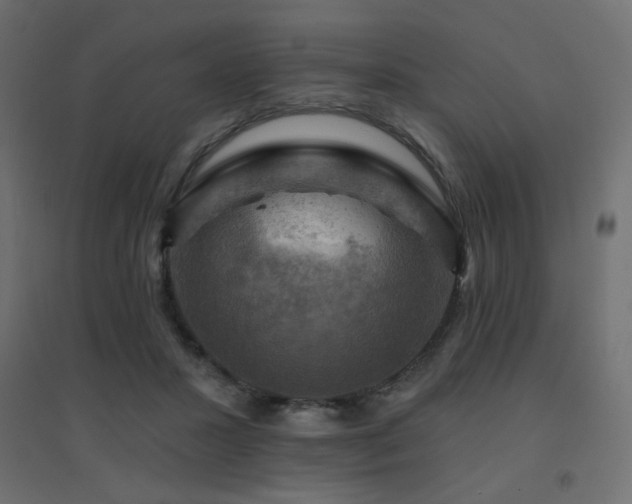 X0000094900407200711291237