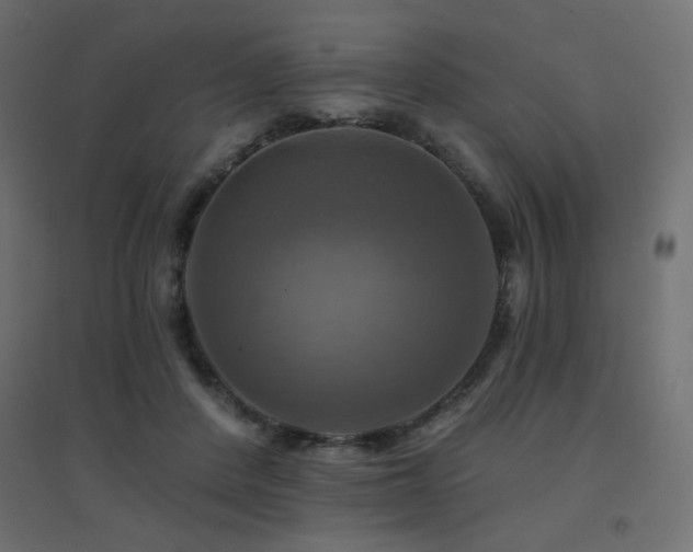 X0000094900408200711291237