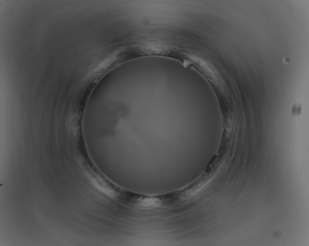 X0000094900409200711291237