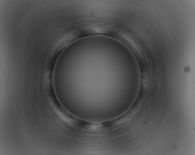 X0000094900410200711291237