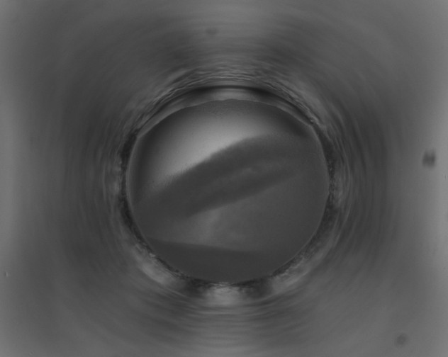 X0000094900413200711291237