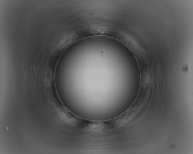 X0000094900414200711291237