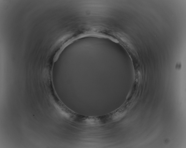 X0000094900415200711291237
