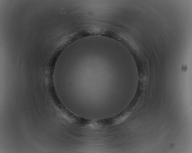 X0000094900416200711291237