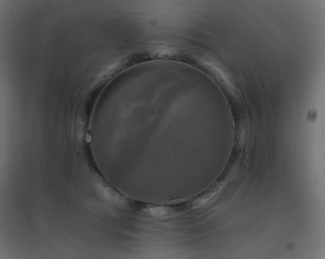 X0000094900417200711291237