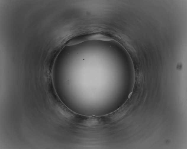 X0000094900418200711291237