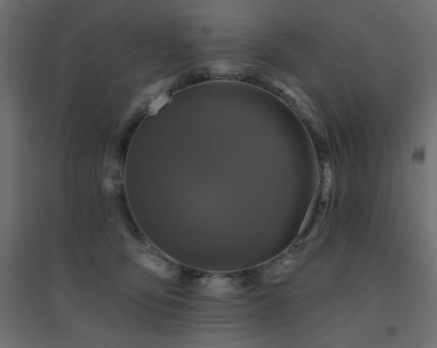 X0000094900419200711291237