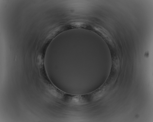 X0000094900420200711291237
