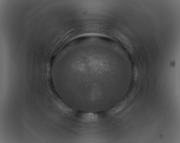 X0000094900421200711291237