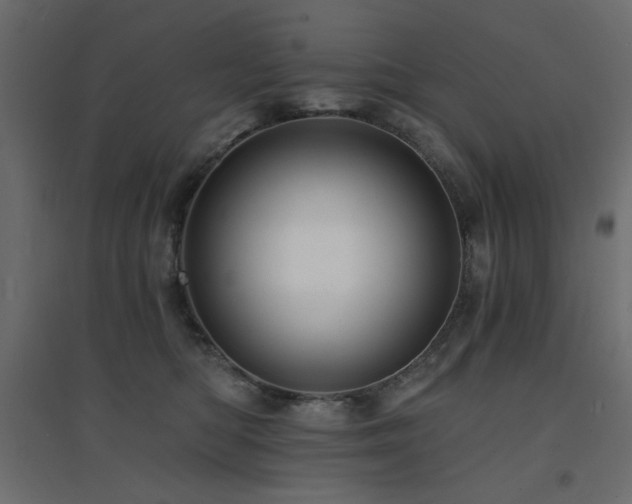 X0000094900422200711291237