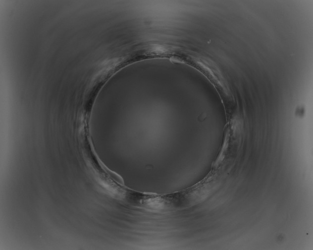 X0000094900423200711291237