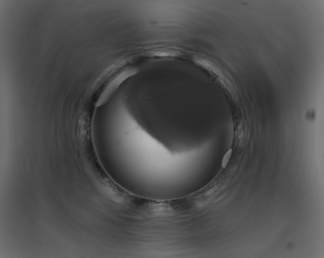 X0000094900424200711291237