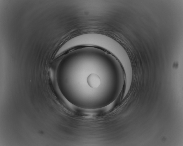 X0000094900425200711291236