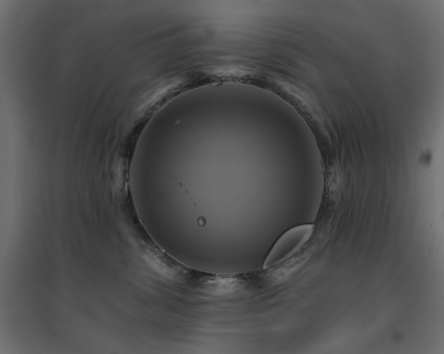 X0000094900428200711291236