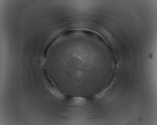 X0000094900429200711291236