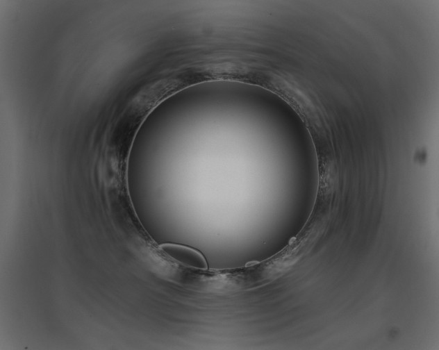 X0000094900430200711291236