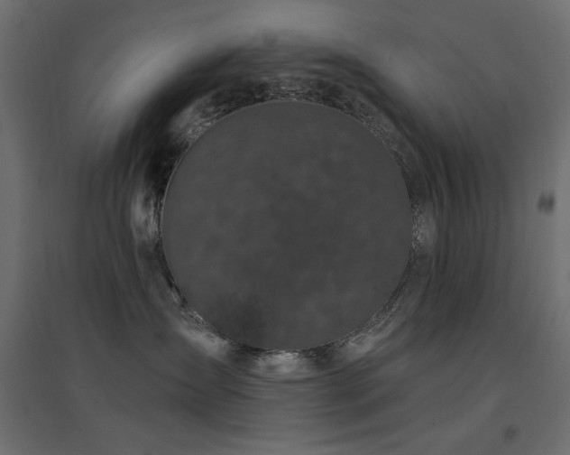 X0000094900431200711291236