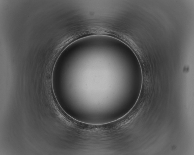 X0000094900433200711291236