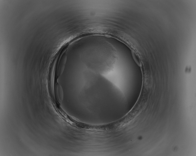 X0000094900434200711291236